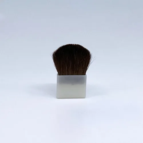 SB_TIPB-1